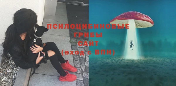 ECSTASY Алексеевка